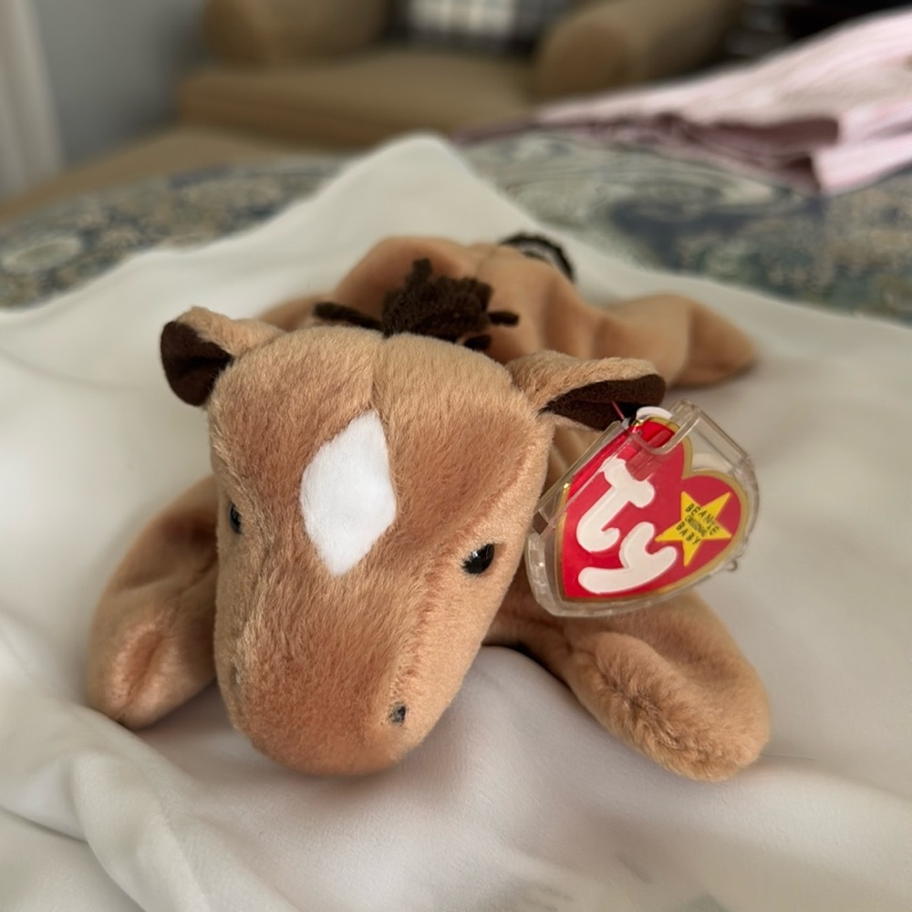 TY Derby